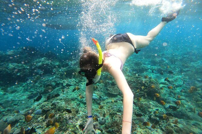 Manta Bay Snorkeling Adventure with Kelingking Beach Nusa Penida All Inclusive - Practical Tips for Participants