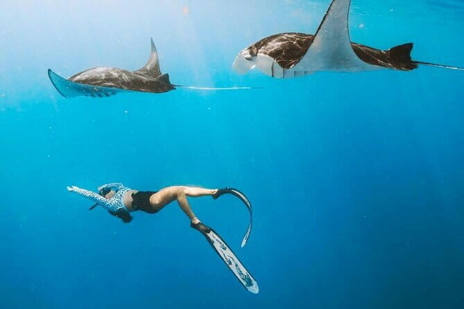 Manta Point Snorkeling & West Nusa Penida Island Day Tour - FAQs