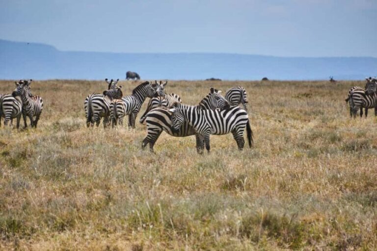 Mara Majesty & Nakuru Splendor  4-Day Wildlife Safari - What’s Included & What’s Not