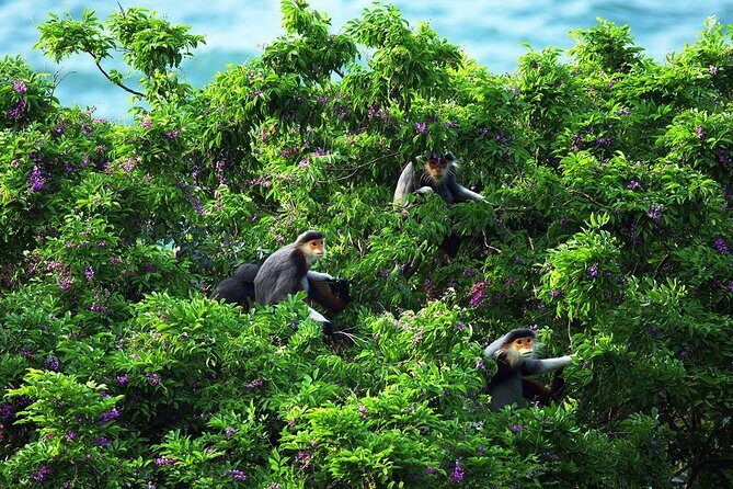 Marble mountain, Am Phu cave and Monkey mountains group tour - The Itinerary in Detail
