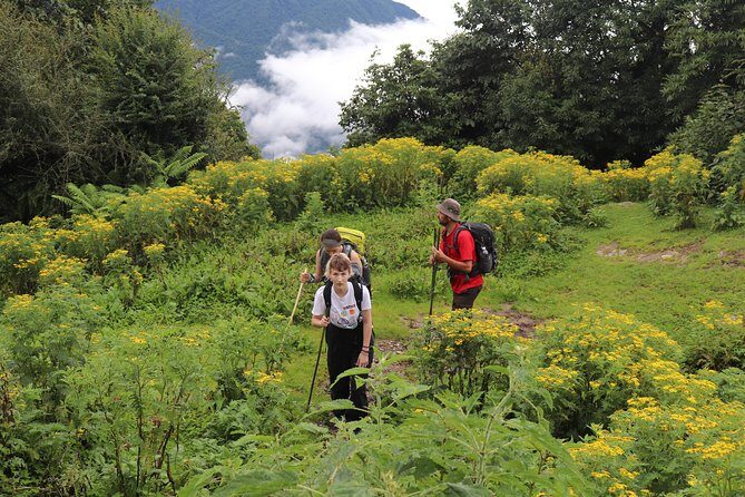 Mardi Himal Base Camp Trek (5 Days) - Authentic Reviews and Personal Experiences