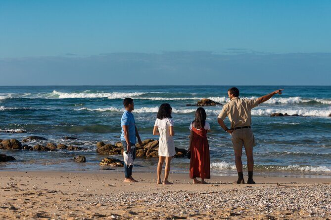 Marine Eco Safari - Wildlife & Birding: What Will You See?