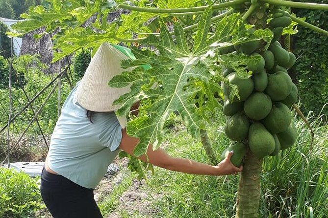 Market to Farm to Table Cooking Class in saigon - Analyzing the Value