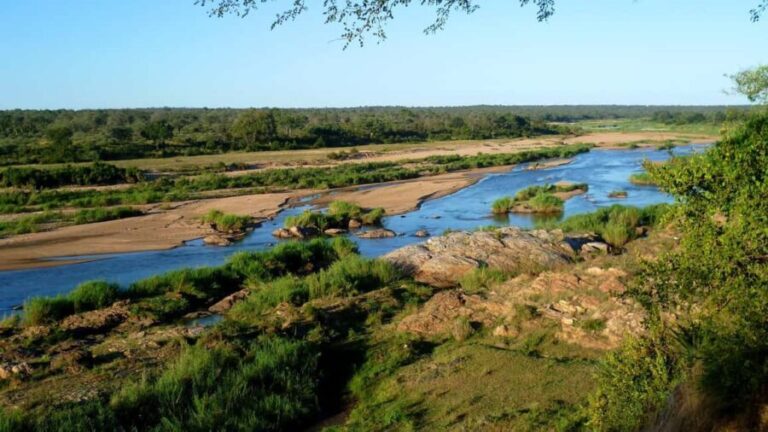 Marloth Park Quad Biking Adventure 1-hour Off-Road - Key Points