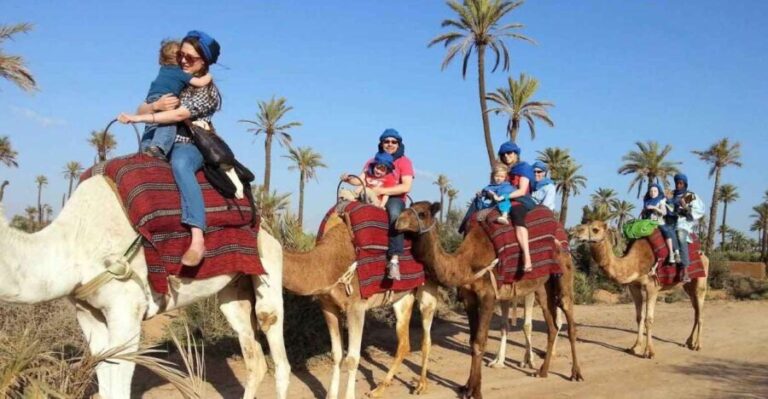 Marrakech : 1-Hour Camel Ride Through the Palm Grove - What to Expect on the Tour