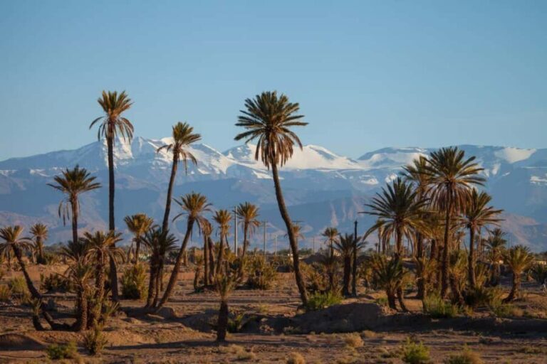 Marrakech: 2-Day Tour to Dades Gorges and Valley of Roses - Discovering Morocco’s Mountain and Desert Beauty