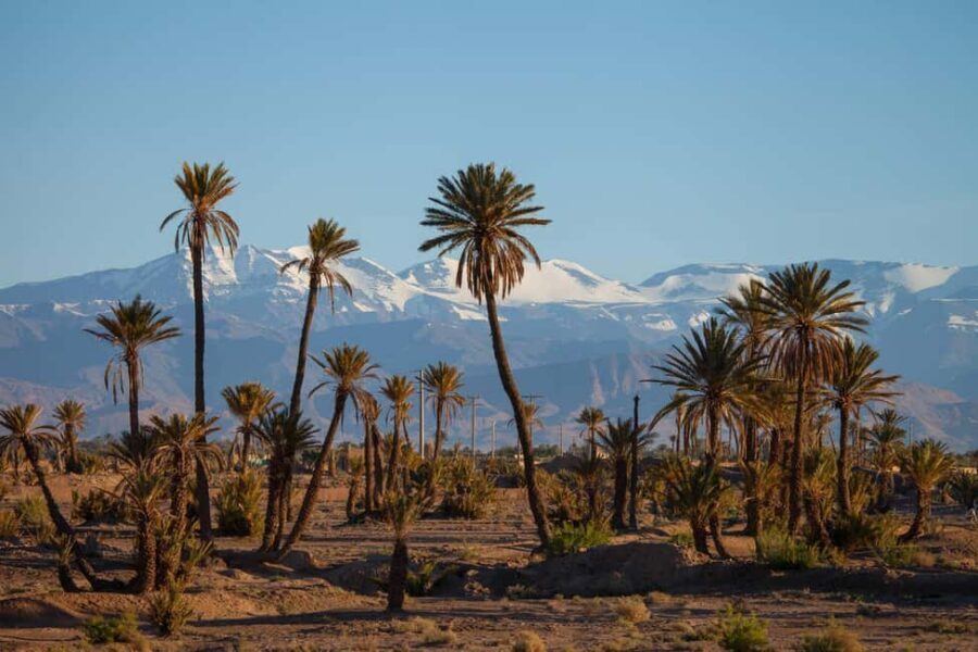 Marrakech: 2-Day Tour to Dades Gorges and Valley of Roses - Discovering Morocco’s Mountain and Desert Beauty