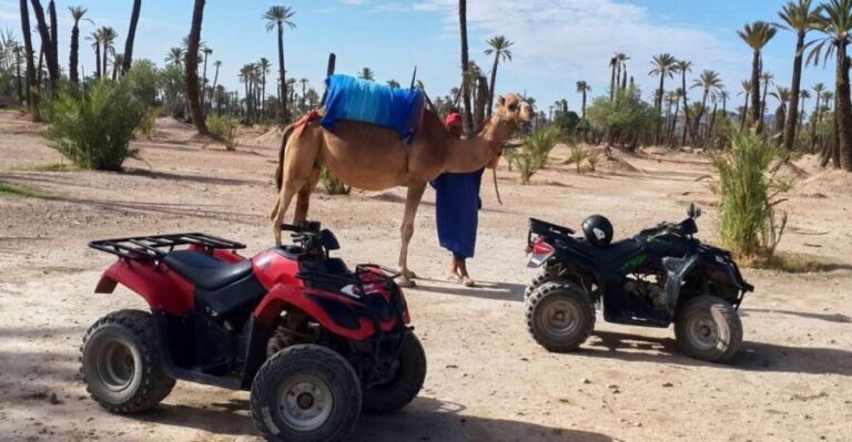 Marrakech: 2-Hour Quad Bike & Camel Ride in Palmeraie - Important Practicalities