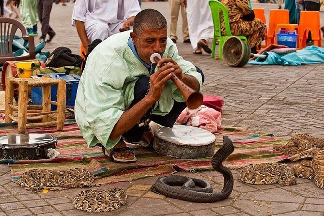 Marrakech 3-Hour Walking Tour - Practical Tips for Participants