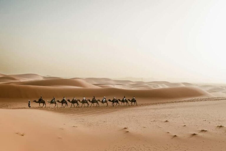 Marrakech: 4-Days Unforgettable Desert Tour to Sahara Desert - Overall Value and Travel Experience
