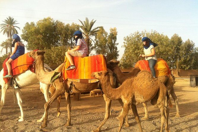 Marrakech activities: Camel ride tour Marrakech - Who Will Love This Tour?