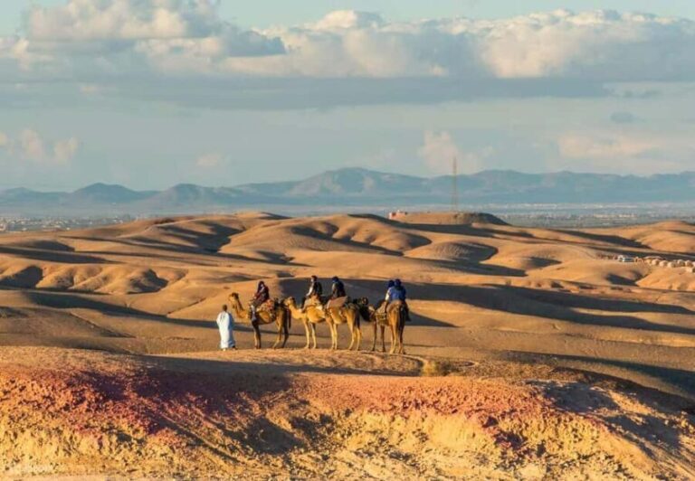 Marrakech Adventure: Quad Biking Through Agafay Desert - Who This Tour Is Perfect For