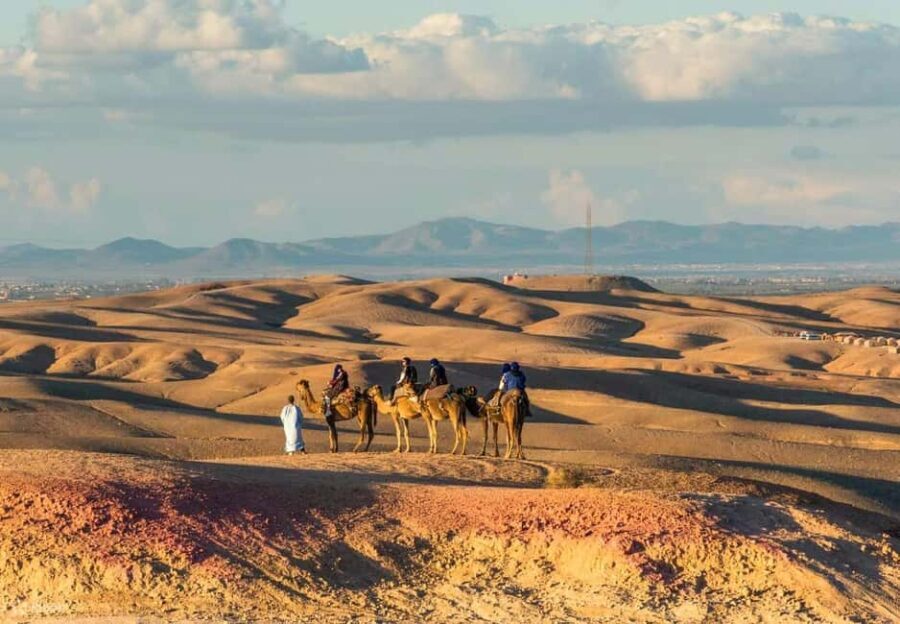Marrakech Adventure: Quad Biking Through Agafay Desert - Who This Tour Is Perfect For