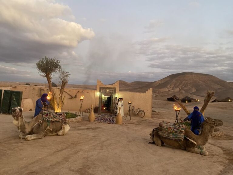 Marrakech: Agafay Desert Buggy Tour with Transfer - Final Thoughts