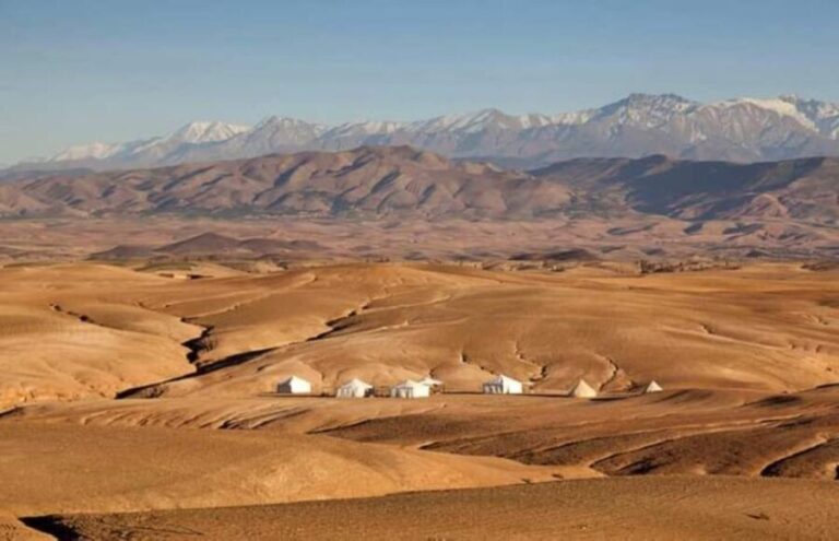 Marrakech: Agafay Desert Dinner and Sunset Camel Ride Trip - The Desert Camp and Dinner Under the Stars