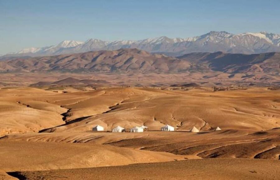Marrakech: Agafay Desert Dinner and Sunset Camel Ride Trip - The Desert Camp and Dinner Under the Stars