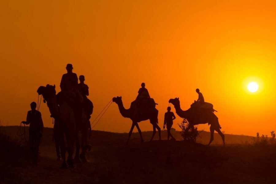 Marrakech: Agafay Desert Dinner, Camel Ride, and Music Show - What the Reviews Tell Us