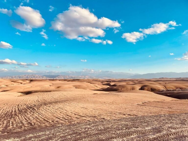Marrakech: Agafay Desert Quad Bike Tour with Moroccan Tea - What to Expect on the Tour