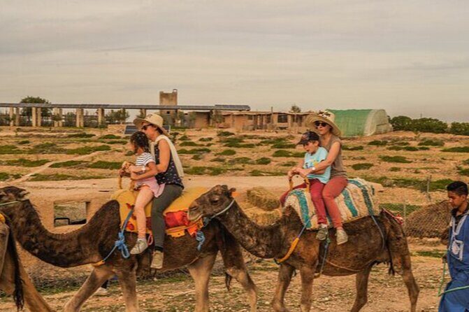 Marrakech: Agafay Desert Quad Biking & Camel Trek & Dinner & Show - Who Will Love This Tour?