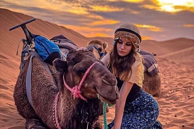 Marrakech: Agafay Desert Quad Biking Tour with Dinner & Show - A Detailed Look at the Tour