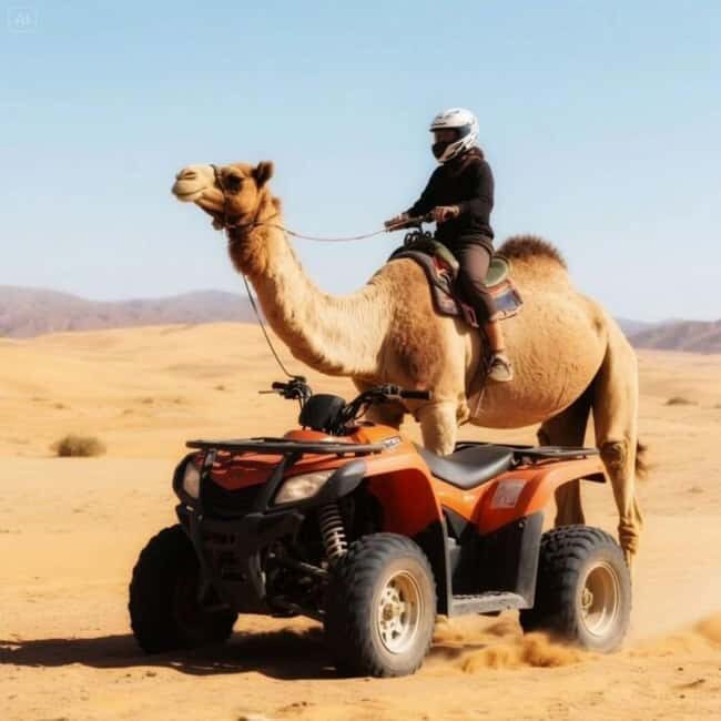 Marrakech: Agafay Desert Trip with Activities and Dinner - An In-Depth Look at the Itinerary