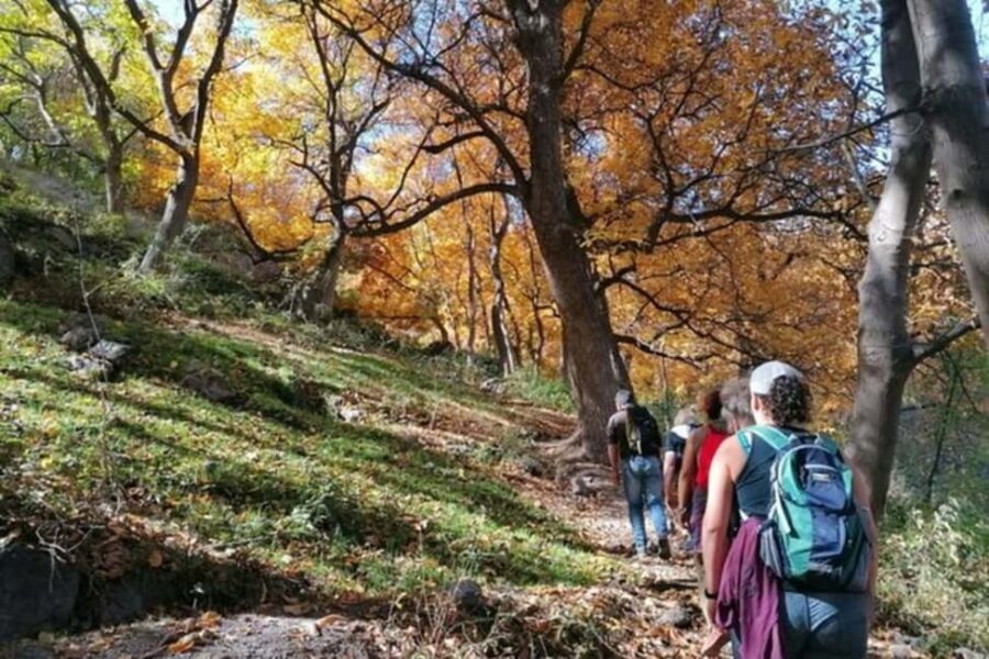 Marrakech: Atlas Mountains 3 Valleys Hike W Lunch&Waterfalls - Exploring Imlil Village and Berber Life