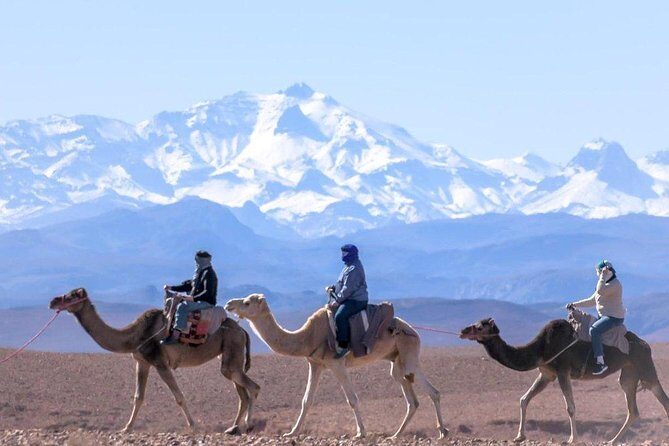 Marrakech: Atlas Mountains & 3 Valleys with waterfall Tour - Why This Tour Offers Great Value