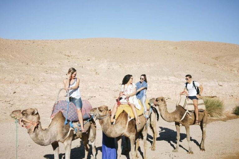 Marrakech: Atlas Mountains, Agafay Desert, Lunch, Camel Ride - Practical Details and Value