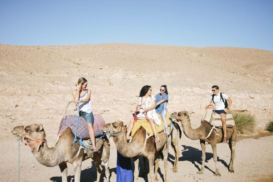 Marrakech: Atlas Mountains, Agafay Desert, Lunch, Camel Ride - Practical Details and Value