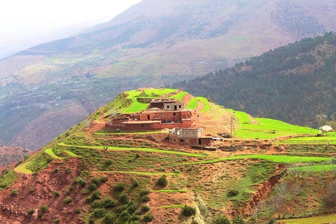 Marrakech: Atlas Mountains & Berber Villages Tour & Camel Ride - What the Reviews Say