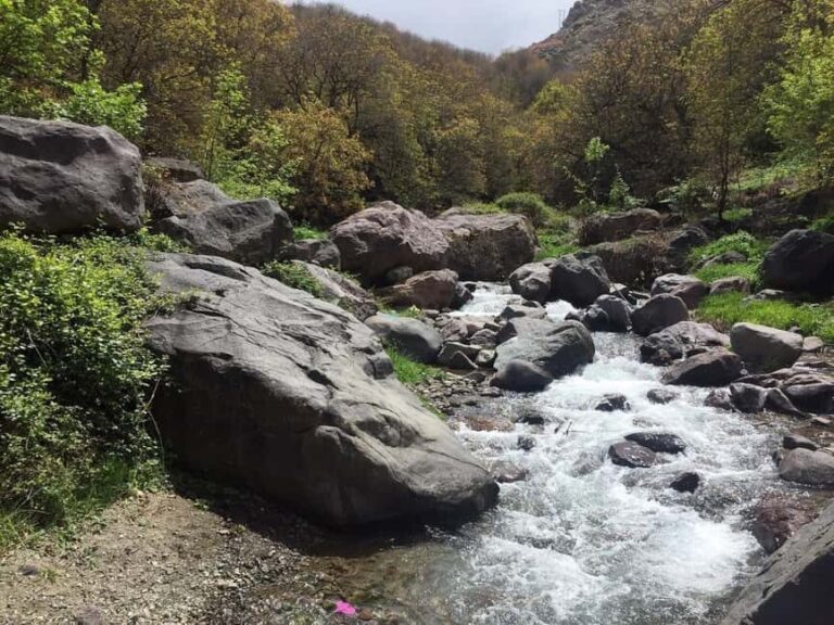 Marrakech: Atlas Mountains, Camel Ride Waterfalls & Lunch - Practical Details and Value