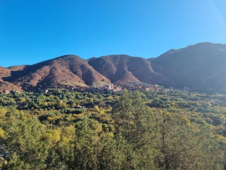 Marrakech: Atlas Mountains, Ourika Valley, Waterfall & Lunch - An Authentic Day in the Ourika Valley: What to Expect