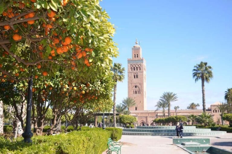 Marrakech: Ben Yousef Medersa, Elegance Museum & Medina Tour - Who Will Enjoy This Tour?