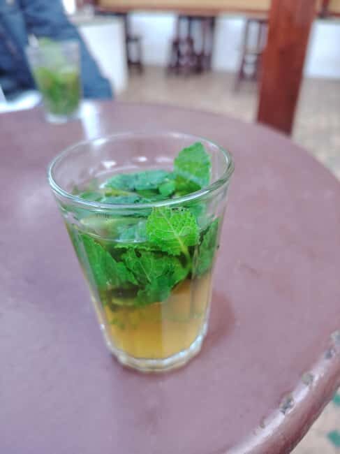 Marrakech: Berber Cooking Class and Agafay Camel Ride - What the Reviews Say