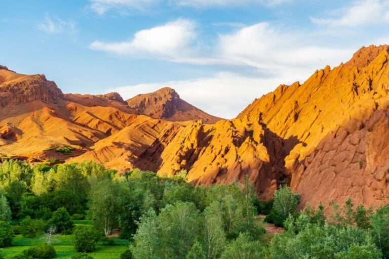 Marrakech: Berber Culture Experience & Atlas Mountains Tour - Camel Ride at Imlil