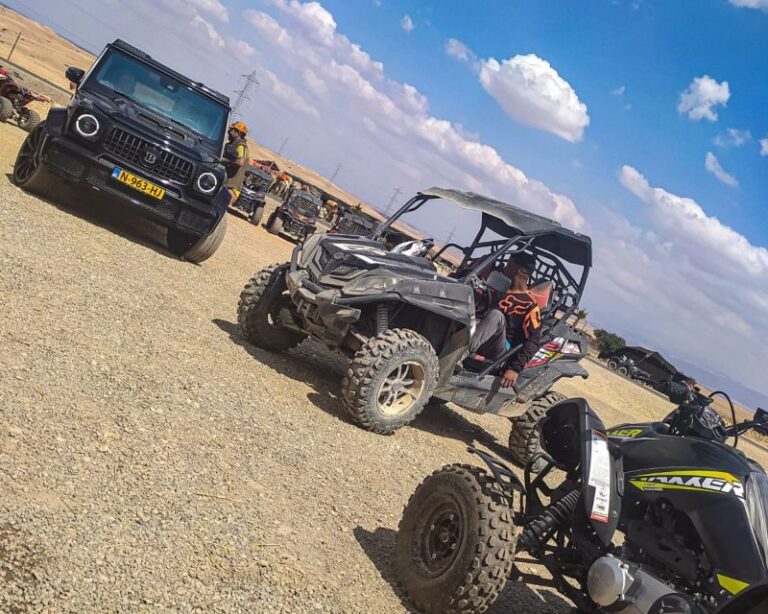 Marrakech Buggy Half Day Ride in Agafay Desert - The Ride: From Rocky Trails to Panoramic Views