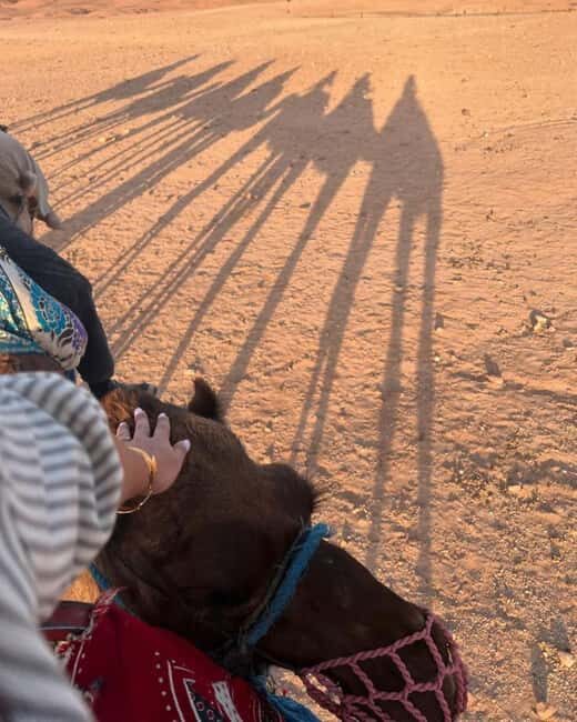 Marrakech: Camel & Quad Bike Tour with Sunset, Dinner & Show - Why This Tour Offers Real Value