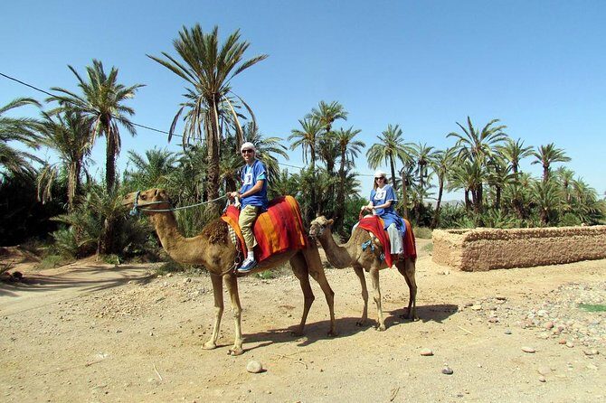 Marrakech Camel Ride at the Palm Groves - Who Will Love This Tour?