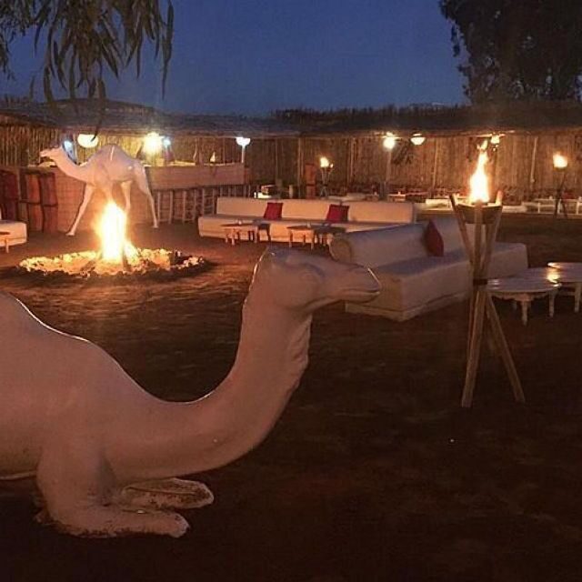 Marrakech: Camel Ride & Dinner with Sunset in Agafay Desert - Practicalities and Value