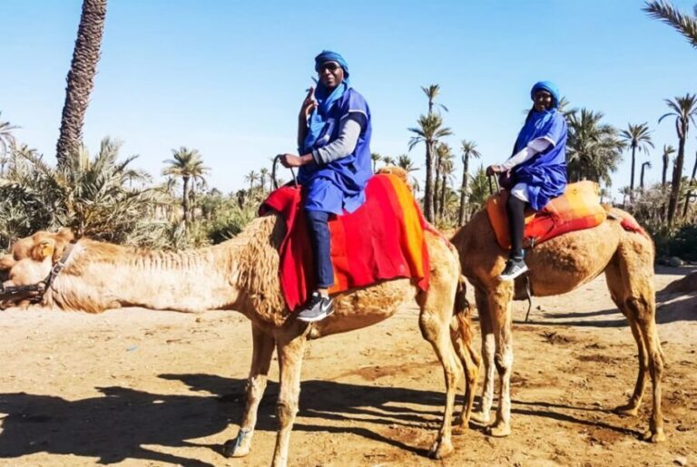 Marrakech: Camel Ride in the Oasis Palmeraie - Why This Tour Offers Great Value