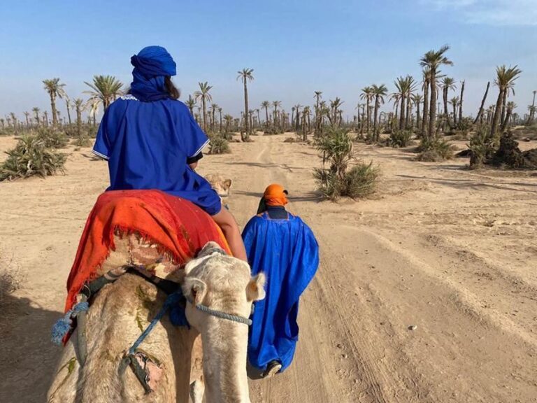 Marrakech camel ride in the palm grove - What to Expect on the Day