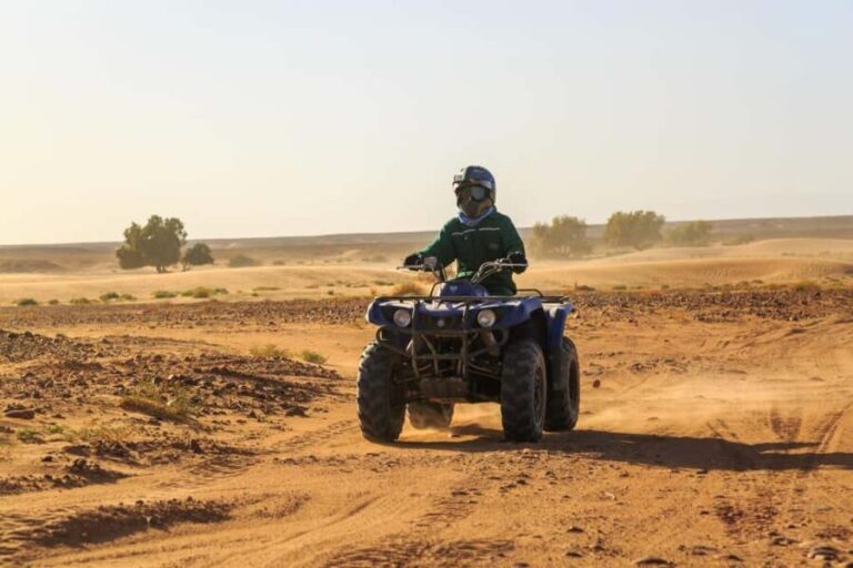 Marrakech : Camel Ride, Quad Bike In Palmeraie With Transfer - The Itinerary in Detail