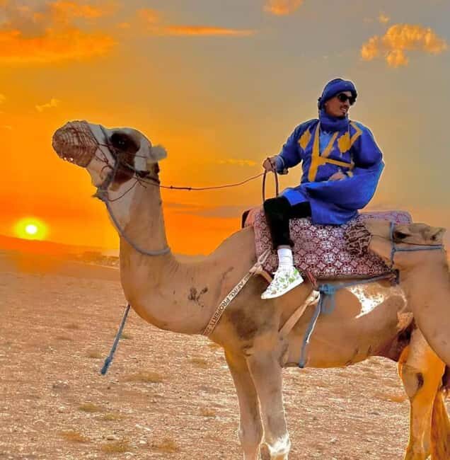 Marrakech: Camel Ride & Sunset Dinner with Fire Show - What to Expect from the Marrakech Camel Ride & Dinner Tour
