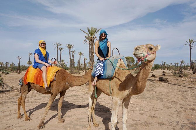 Marrakech camel ride tour - Authentic Experiences and Traveler Feedback