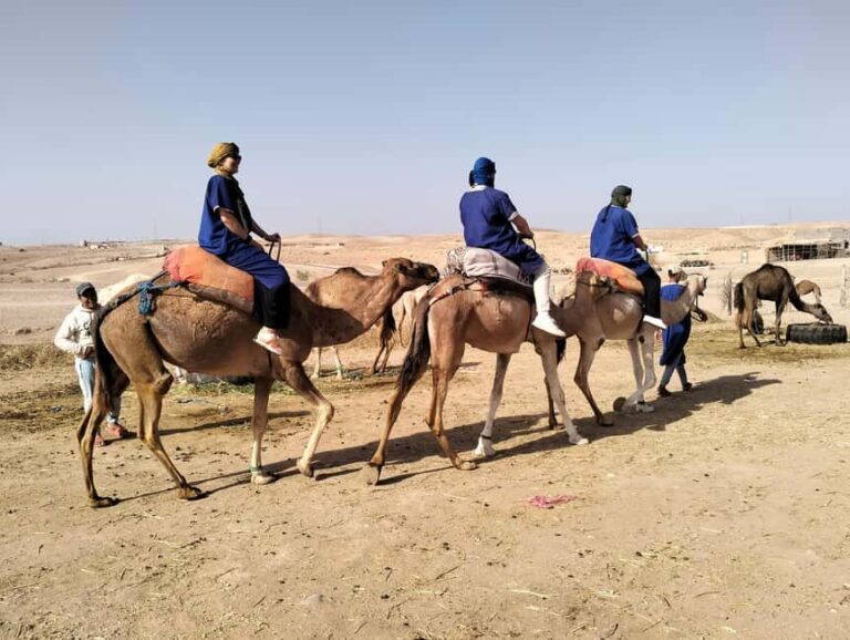 Marrakech: Camel Safari at Agafay Desert - The Camel Ride: A Memorable Hour