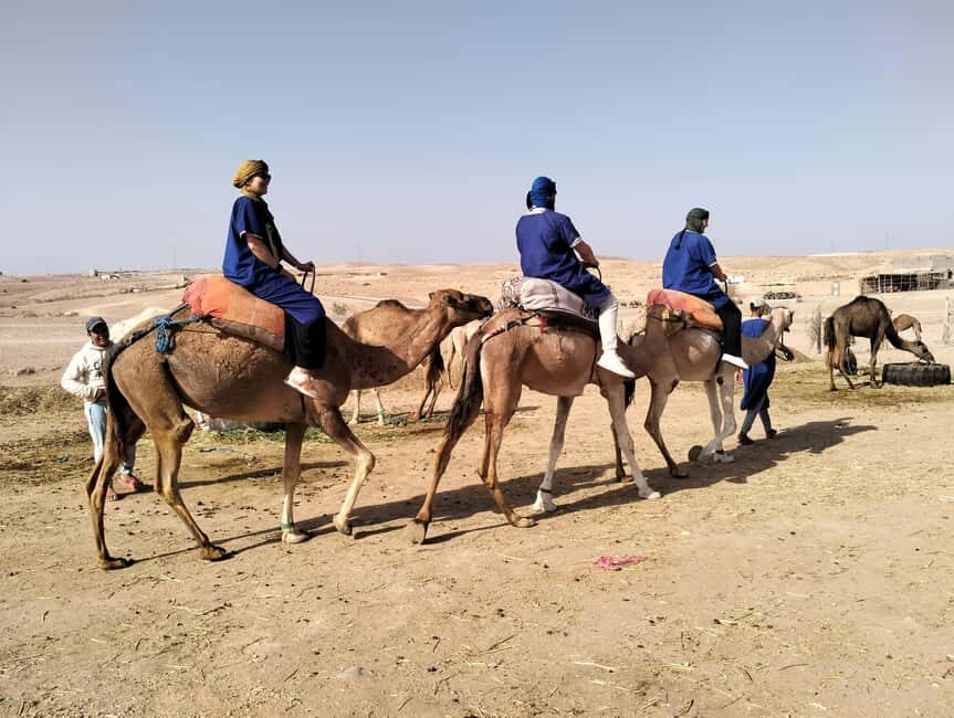 Marrakech: Camel Safari at Agafay Desert