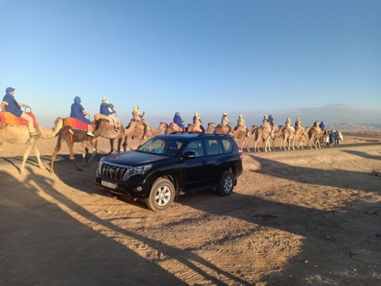 Marrakech: Camel Safari at Agafay Desert with Lunch - The Experience: What to Expect in Detail
