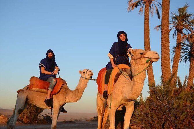 Marrakech: Camels & Quads on Sunset with Luxury Dinner, Fireshow - Visiting a Berber co-operative: a taste of local hospitality