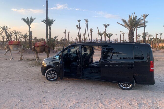 Marrakech city tour with driver - Half-day - Why This Tour Is a Great Fit