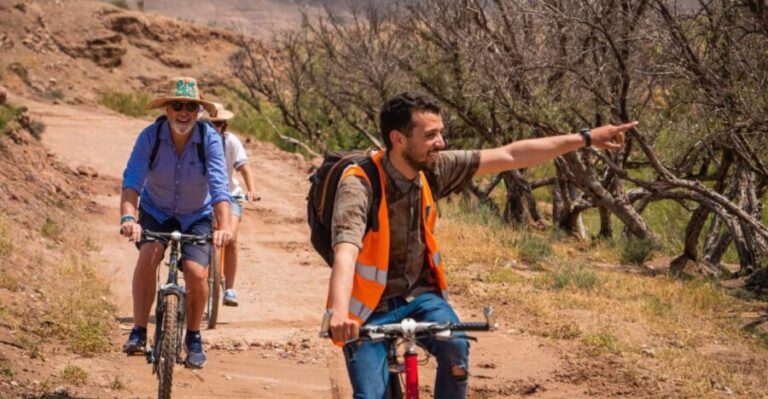 Marrakech: Cycling Tour in Palm Groove with Local Breakfast - The Value of This Tour